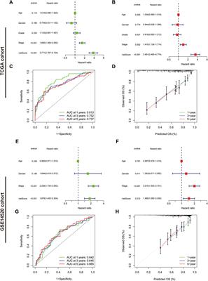 Comprehensive analysis of immune-related gene signature based on ssGSEA algorithms in the prognosis and immune landscape of hepatocellular carcinoma